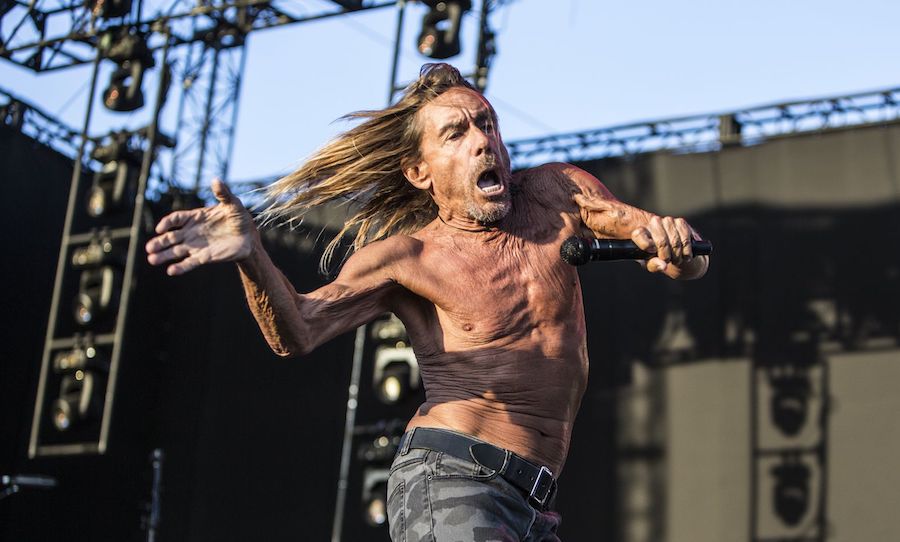iggy pop rider